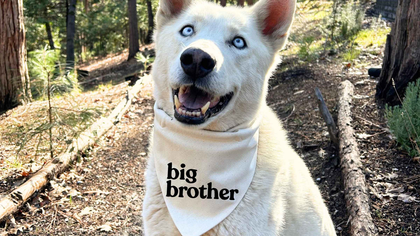 Big Brother Dog Bandana