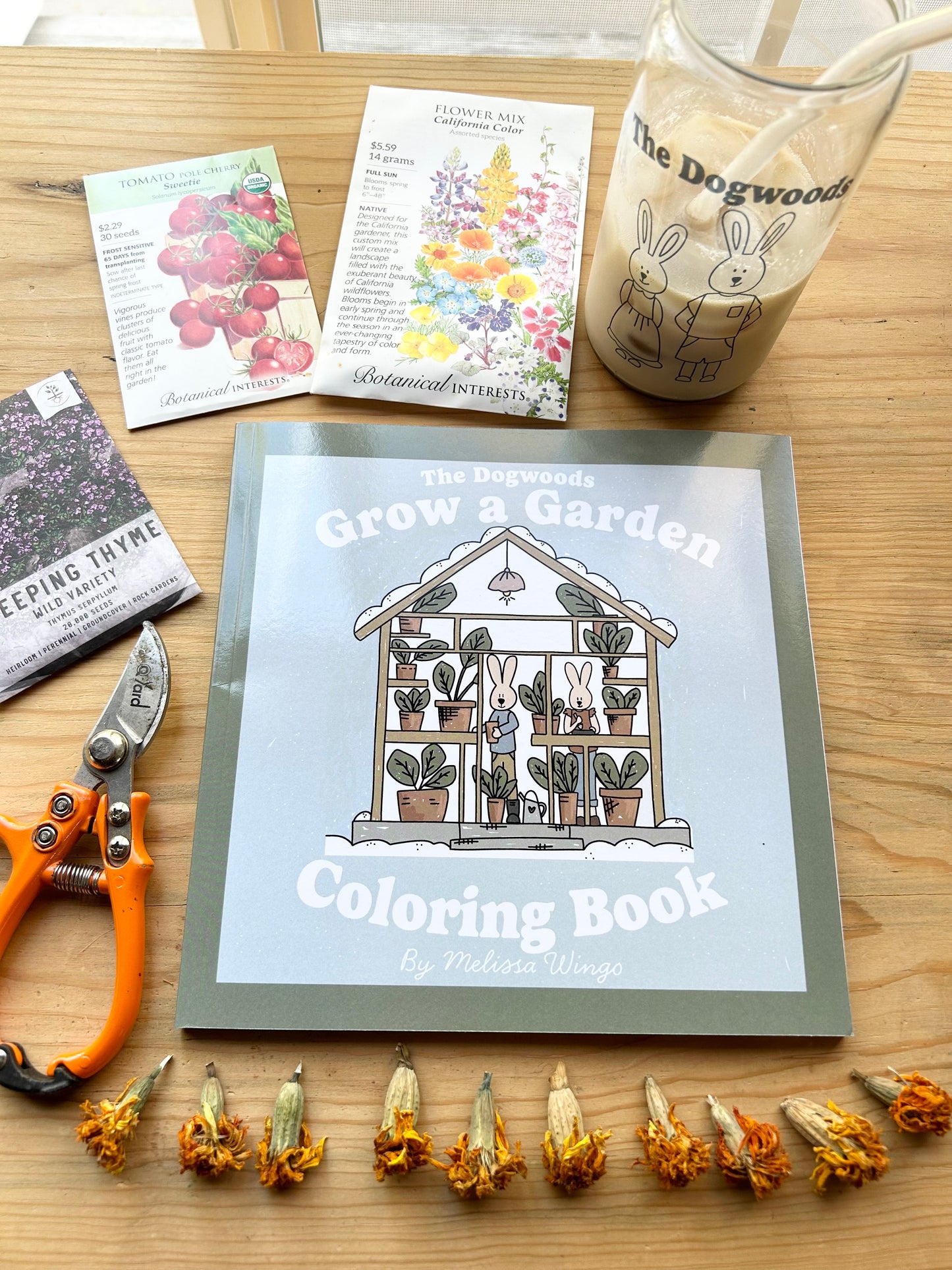 Garden Coloring Book